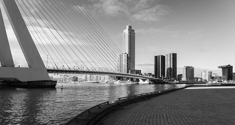 Rotterdam Erasmusbrug van Michiel Vos