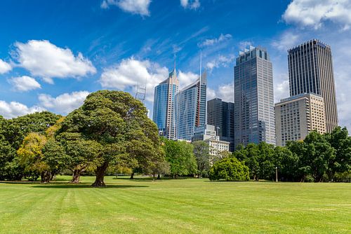 City skyline from park in Sydney Australia