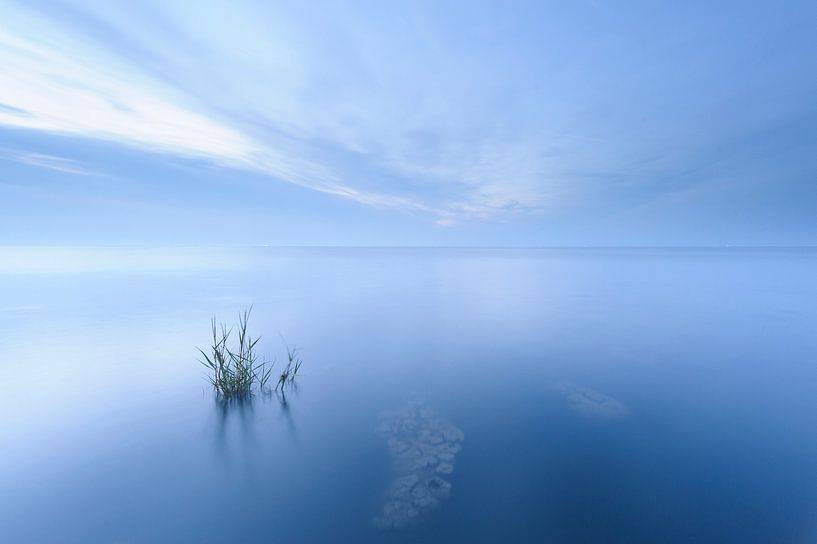 Flooded land van Arjan Keers