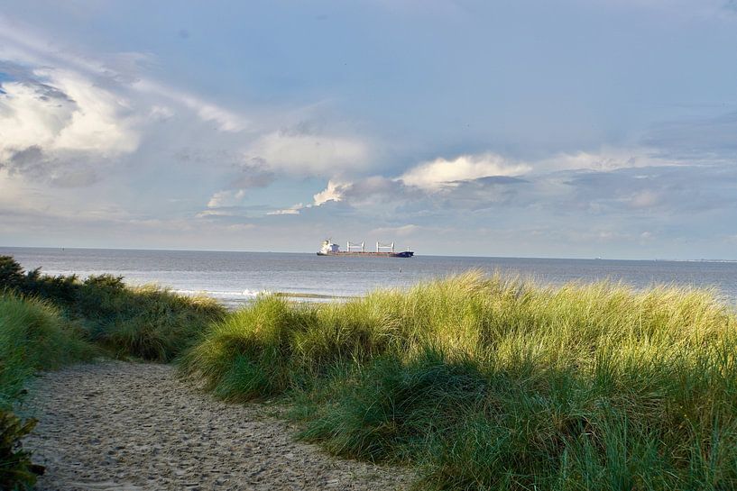 Dunes de Breskens par Annelies Riemens