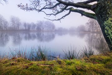 Brouillard au lac sur Fotos by Jan Wehnert