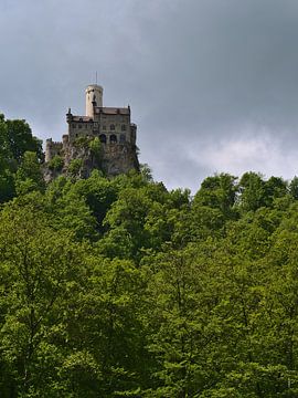 Mystiek kasteel Lichtenstein van Timon Schneider