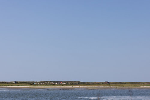 Pictures of Spiekeroog, an East Frisian island in the North Sea.