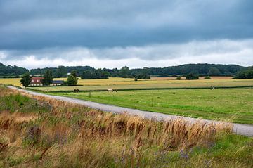 The Danish flatland