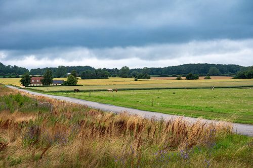 Het Deense plattland