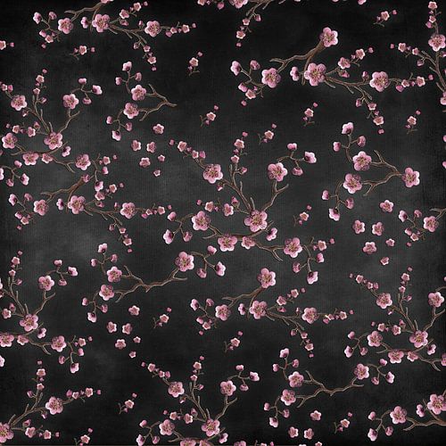 Sakura zwart