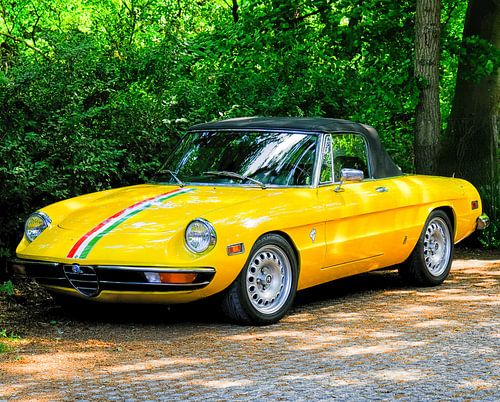 Gele Alfa Romeo spider  