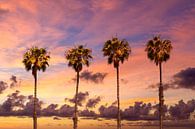 Zonsondergang met palmbomen van Melanie Viola thumbnail