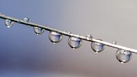Drops...