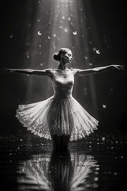 Schwanensee Enchanté: Der Flug einer Ballerina von Salt Theory