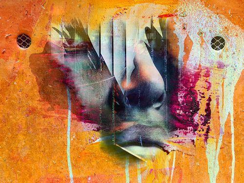 Het gezicht bij de muur