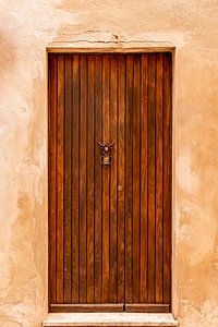Karakteristieke houten deur met hertenkop deurklopper van Dafne Vos