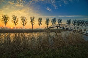 zonsopkomst in de polder van peterheinspictures