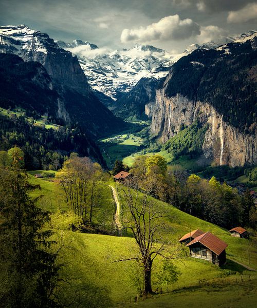 View from Wengen on Lauterbrunnen by Niels Tichelaar