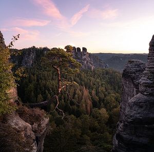 Ein Sonnenaufgang in der Bastei ist ein unvergessliches Schauspiel der Natur.