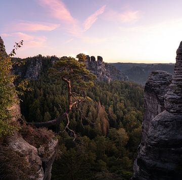 Een zonsopgang in de Bastei is een onvergetelijk natuurspektakel. van Patrick Noack