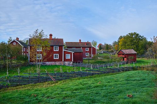 Herbst in Schweden 2 von Geertjan Plooijer