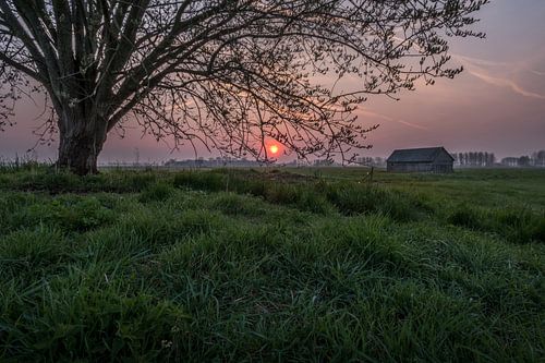 Weiland met boom en schuur bij zonsopkomst 02
