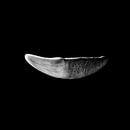 Tooth of time by Willie Jan Bons thumbnail