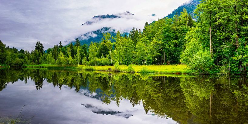 Vijver in het moeras bij Oberstdorf van Walter G. Allgöwer