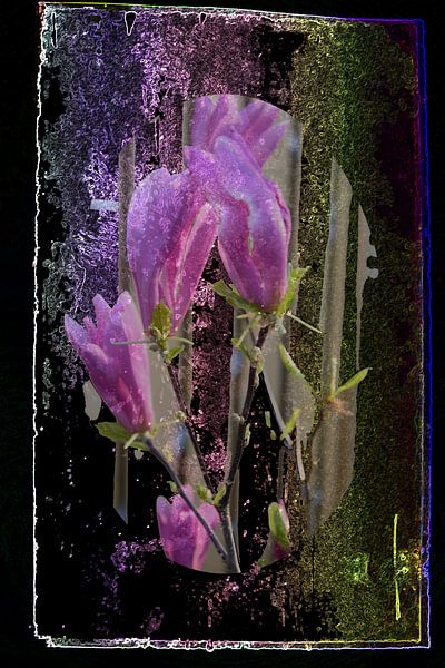 Blume in der Stille von Artforyou  werk van Henk Adriani