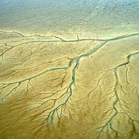 Geulen en prielen in de drooggevallen oostelijke Waddenzee van Meindert van Dijk