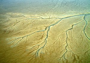 Geulen en prielen in de drooggevallen oostelijke Waddenzee von Meindert van Dijk