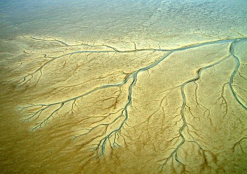 Geulen en prielen in de drooggevallen oostelijke Waddenzee