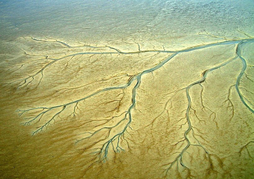 Geulen en prielen in de drooggevallen oostelijke Waddenzee von Meindert van Dijk