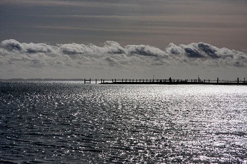 Haven Schiermonnikoog/Waddenzee
