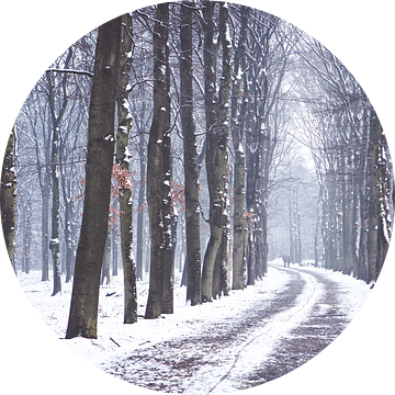 Winter op de Utrechtse Heuvelrug! van Peter Haastrecht, van