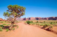 MONUMENT VALLEY DRIVE van Melanie Viola thumbnail