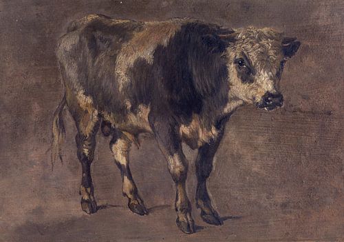 Taureau, André Plumot