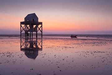 Englischer Teller bei Sonnenuntergang