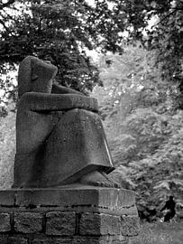 Zonaanbidster Noorderplantsoen van Ronald Hulsebos