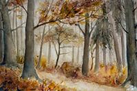 de herfst bos