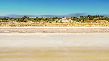 The salt flats of Fuseta by Frans Nijland