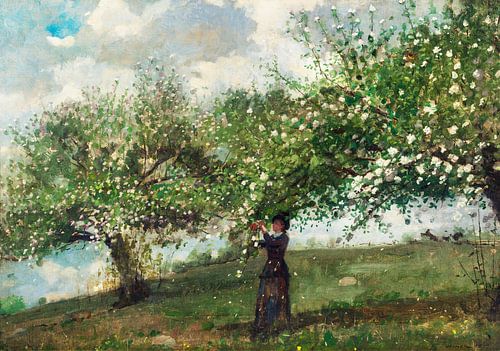 Appel bloesem (1879) door Winslow Homer.