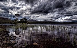 The Quiet Place by Em We