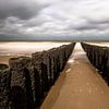 Nordsee von Rob van Soest