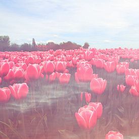 veld met rode tulpen van Pauli Langbein