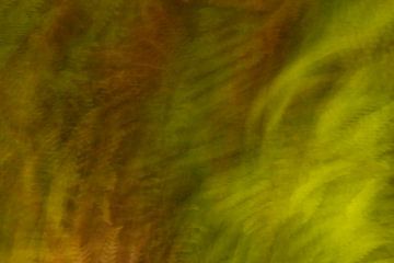 Abstract Nature