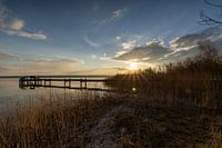 Goldene Stunde am Ammersee