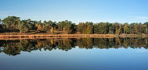 Schöne Spiegelung des Waldes im See
