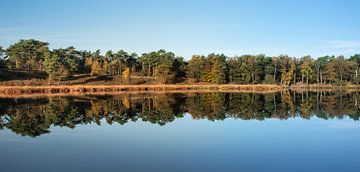 Mooie reflectie van het bos in het meertje van Patrick Verhoef