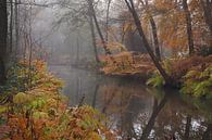 Herfst in Parklandschap De Overtuinen in Oranjewoud van Wilco Berga thumbnail