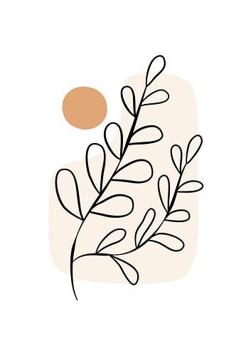 Planter en lignes avec du soleil