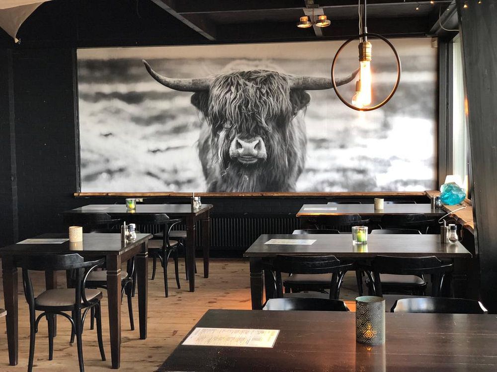 Scottish Highlander by Nathalie Bauland