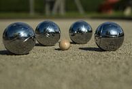Metalen bal en het kleine varkentje van Norbert Sülzner thumbnail
