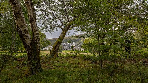 De geweldige en magnifieke bergen van Schotland